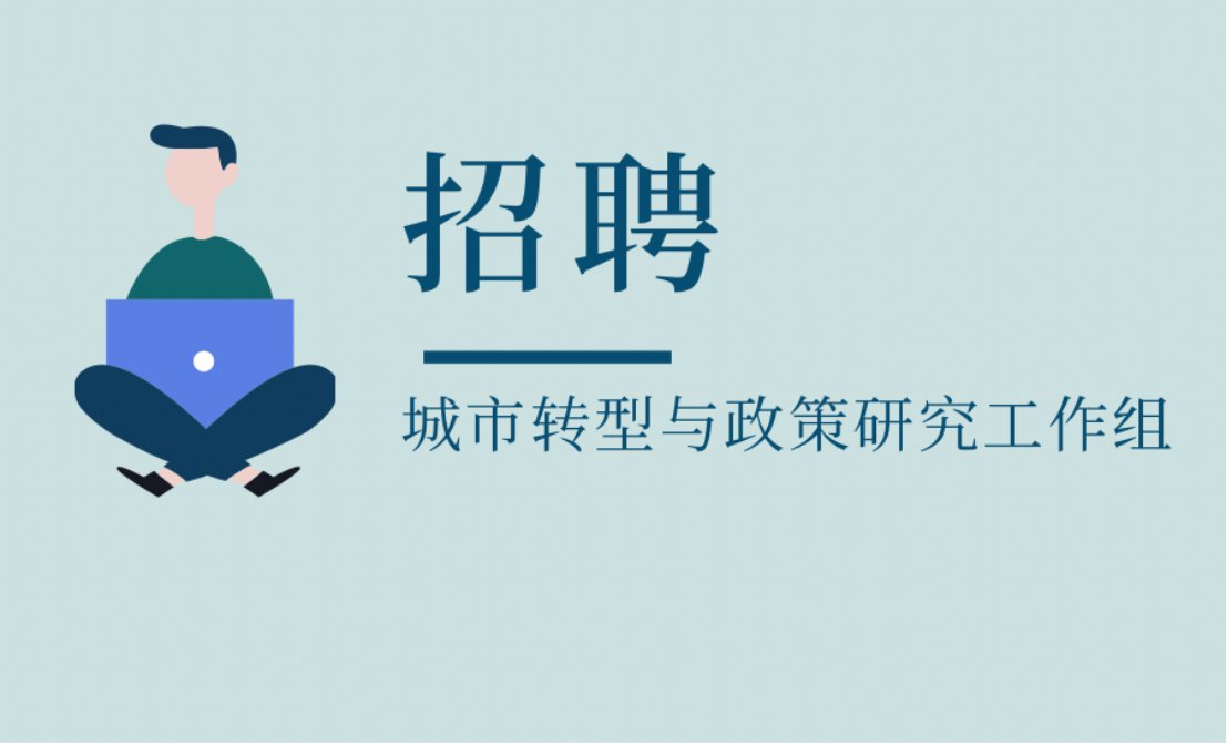 咨询师（城市转型与政策研究工作组...