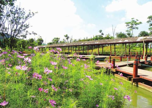 碳市场在生态文明建设中的重要作用